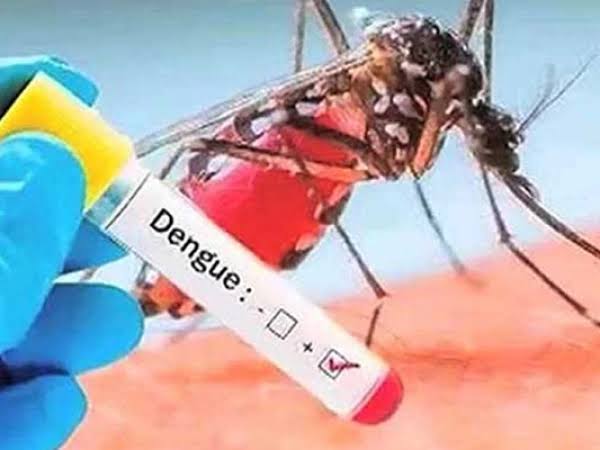ضلع راولپنڈی میں 12 اکتوبر تک ڈینگی کے 54 کنفرم کیسز رپورٹ ہوئے
