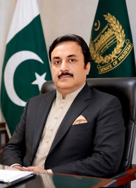 قائم مقام چیئرمین سینیٹ سیدال خان ناصر