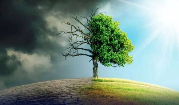 محکمہ تحفظ ماحولیاتی