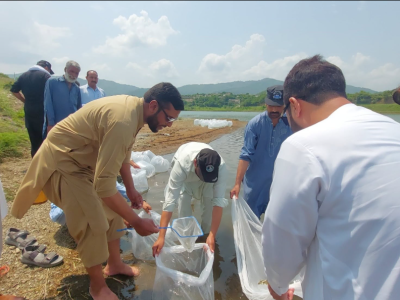 Khyber Pakhtunkhwa Fisheries,