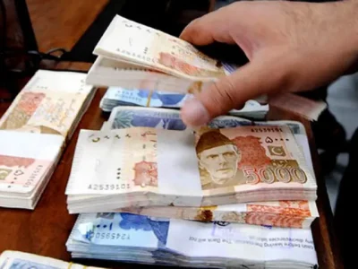 نجی شعبہ کو قرضوں کی فراہمی میں گزشتہ مالی سال کے دوران 14.71 فیصد اضافہ ہوا ،رپورٹ