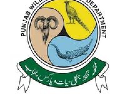 حکمہ جنگلی حیات پنجاب
