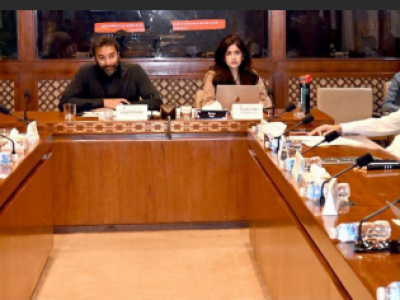 Senate Subcommittee, Kashmir Affairs,
