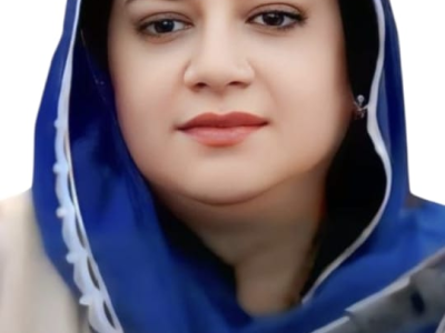 مشکلات سے نبردآزما باصلاحیت افراد ہم سب کیلئے فخر کی مثال ہیں، سیدہ مہرین ساجد
