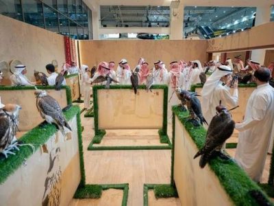 Riyadh: The International Falcon Breeders Auction 2026 has concluded successfully, with the participation of 90 falcon breeding farms from 24 countries