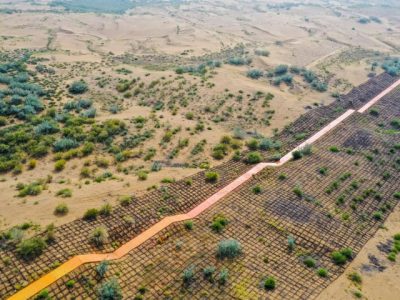 UN official praises China's efforts in restoring desert lands and planting trees