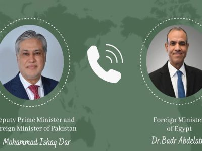نائب وزیراعظم محمد اسحاق ڈار کا مصری وزیر خارجہ سے ٹیلیفونک رابطہ