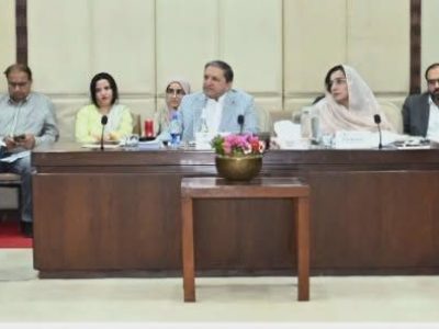 سینیٹ کی قائمہ کمیٹی برائے خزانہ و محصولات کااجلاس،سوشل میڈیا سے حاصل ہونے والی مخصوص اقسام کی آمدن پر پانچ فیصد ودہولڈنگ ٹیکس عائد کرنے کی تجویز منظور