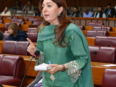 دریائوں پر آبی ذخائر بنا کر بھارت ہمارے حصے کا پانی روکنے کی سازش کر رہا ہے، بجٹ میں آبی ذخائر کیلئے مختص رقم میں اضافہ کیا جائے، ارکان قومی اسمبلی