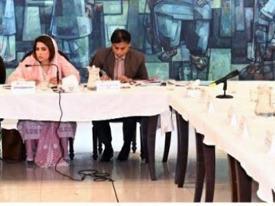 سینیٹ کی قائمہ کمیٹی آئی ٹی کا ٹیلی کمیونیکیشن (تنظیم نو) ترمیمی بل 2026 پر غور، نجی املاک کے حقوق سے متعلق شقوں کا مزید جائزہ لینے کا فیصلہ