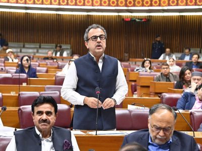 قومی اسمبلی نے وزارت توانائی (بجلی وپیٹرولیم ڈویژن) کے 661 ارب 26 کروڑ 58 لاکھ روپے سے زائد مالیت کے چھ مطالبات زر کی منظوری دیدی