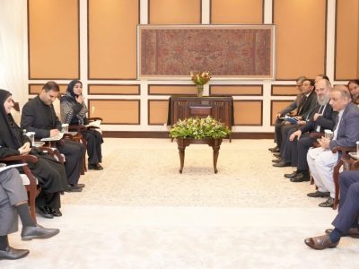 وفاقی وزیر مواصلات عبدالعلیم خان سے ایرانی وزیر فرزانہ صادق کی ملاقات، پاک ایران مشترکہ ٹرانسپورٹ کمیٹی فعال کرنے پر اتفاق