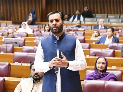 پمز ہسپتال کے واقعہ کی تحقیقات مکمل شفاف انداز میں کی جائیں گی ،ایک آدمی بھی سپیئر نہیں ہوگا،وفاقی وزیر صحت
