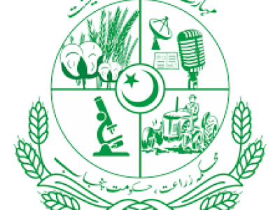 Agriculture Department instructs farmers to complete cultivation of kolhasan by mid-November