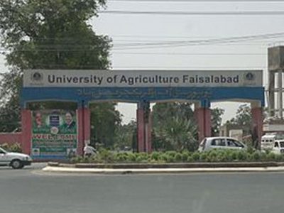 زرعی یونیورسٹی نے تعلیمی سال 2026-27کے لئے انڈرگریجویٹ داخلوں کے پہلے انٹری ٹیسٹ کی رجسٹریشن کی تاریخ میں توسیع کر دی
