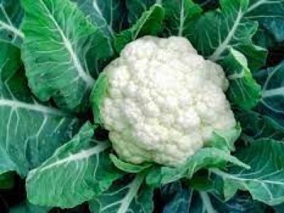 Cauliflower