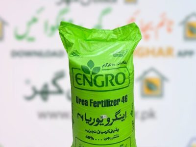 اینگرو فرٹیلائیزرز