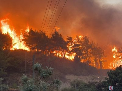 Forest fires in Turkey