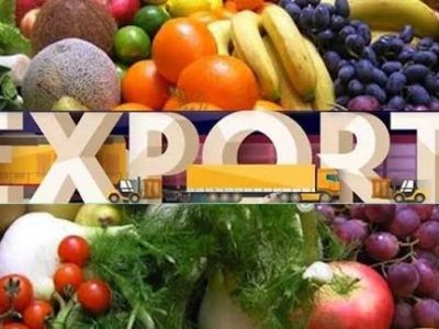 پھلوں اور سبزیوں کی برآمدات