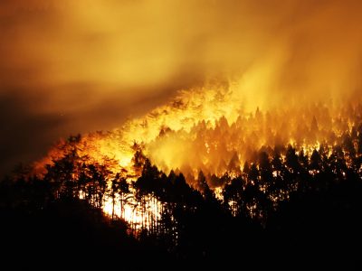 Horrific forest fires in Japan