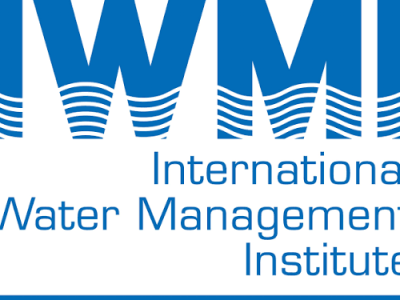 IWMI