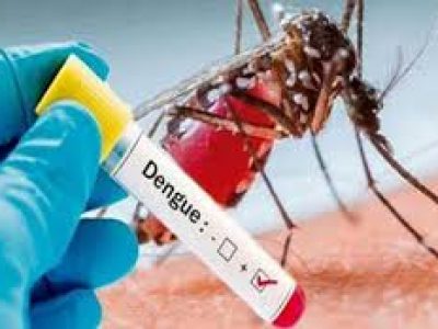 Khyber Pakhtunkhwa 6 new dengue cases reported in the last 24 hours