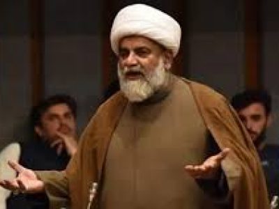 Leader of the Opposition in the Senate, Allama Raja Nasir Abbas, has said