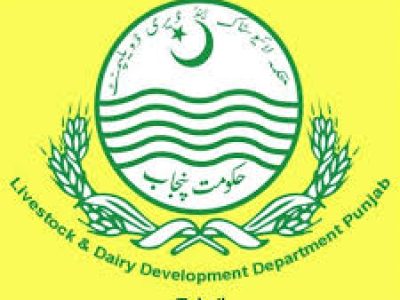 Livestock Department