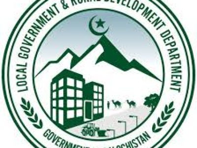 Local Government System