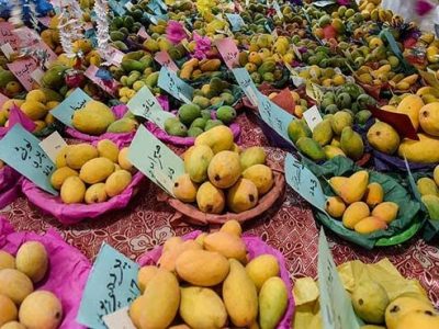 Mango Festival Muzaffargarh District