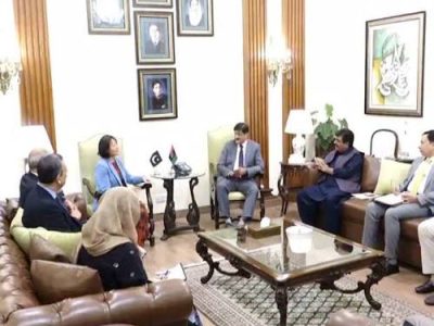 وزیر اعلی سندھ سید مراد علی شاہ سے ایشیائی ترقیاتی بینک کی کنٹری ڈائریکٹر کی ملاقات