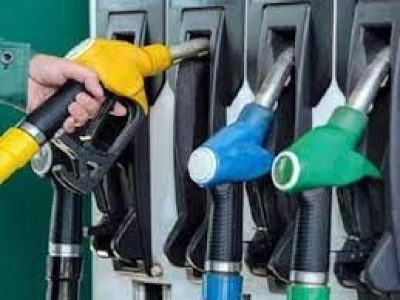 Petroleum Division