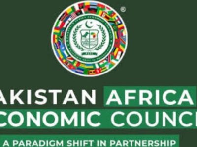 پاکستان افریقہ اکنامک کونسل