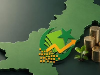 سٹیٹ بینک نے سرکاری تمسکات میں سرمایہ کاری کے لیے انویسٹ پاک پورٹل کا باضابطہ آغاز کر دیا