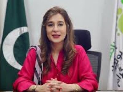 عائشہ رضا فاروق