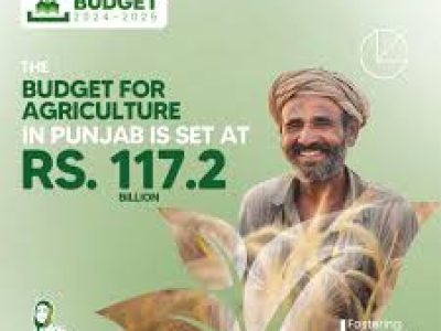 Punjab budget allocates more than Rs132 billion for agriculture and livestock