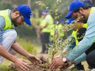 Rahim Yar Khan 900000 saplings to be planted across the district during tree plantation drive