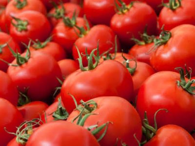 Recurring tomato shortages in Pakistan