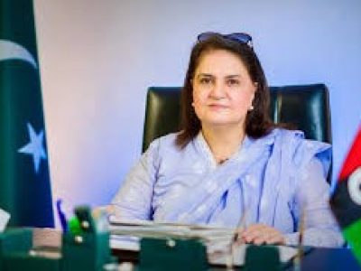 سینیٹر روبینہ خالد