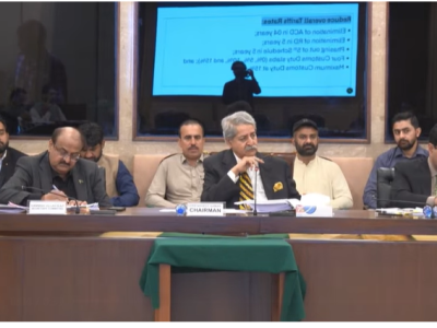 ٹیرف اصلاحات کو مرحلہ وار نافذ کیا جائے، نادہندہ آئل مارکیٹنگ کمپنی کی جانب سےلیوی کی تیس دن تک ادائیگی نہ ہونے کی صورت میں پیٹرولیم مصنوعات کی فراہمی خودکار طور پر معطل کر دی جائے، قائمہ کمیٹی برائے خزانہ
