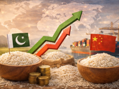 چین کو چاول کی برآمدات میں سالانہ بنیا د پر 200 فیصد اضافہ، حجم 122.99 ملین ڈالر رہا،رپورٹ