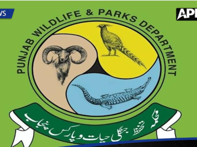 محکمہ تحفظ جنگلی حیات کاغیر قانونی تجارت کی موثر روک تھام کیلئے کارروائیاں