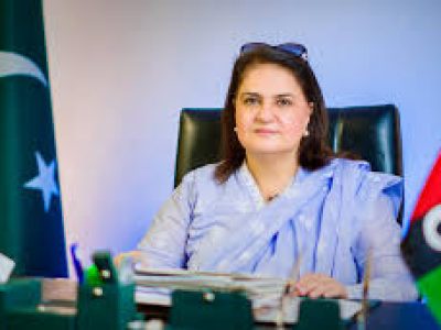 سینیٹر روبینہ خالد