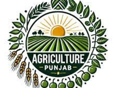 Department of Agriculture