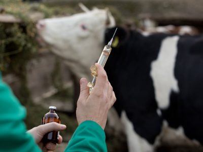 Sustainable farming practices