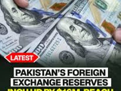 Total foreign