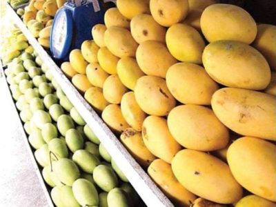 Three-day national mango exhibition