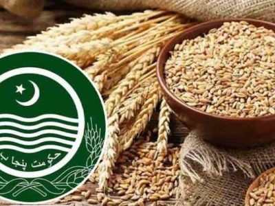 پنجاب میں 29.61ملین ٹن سے زائد ریکارڈ گندم پیداوارسے پاکستان درآمد کنندہ سے برآمد کنندہ بن گیا، چیف سائنٹسٹ گندم