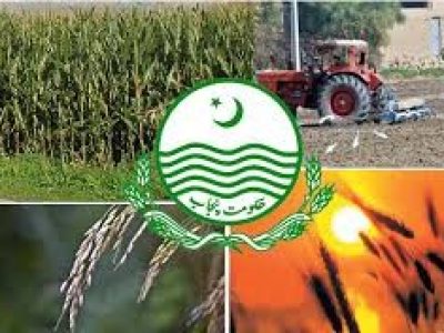 محکمہ زراعت پلانٹ پروٹیکشن کی جانب سے شیڈول جاری