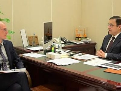 وفاقی وزیر اقتصادی امور احد چیمہ